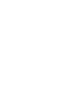 Milestone